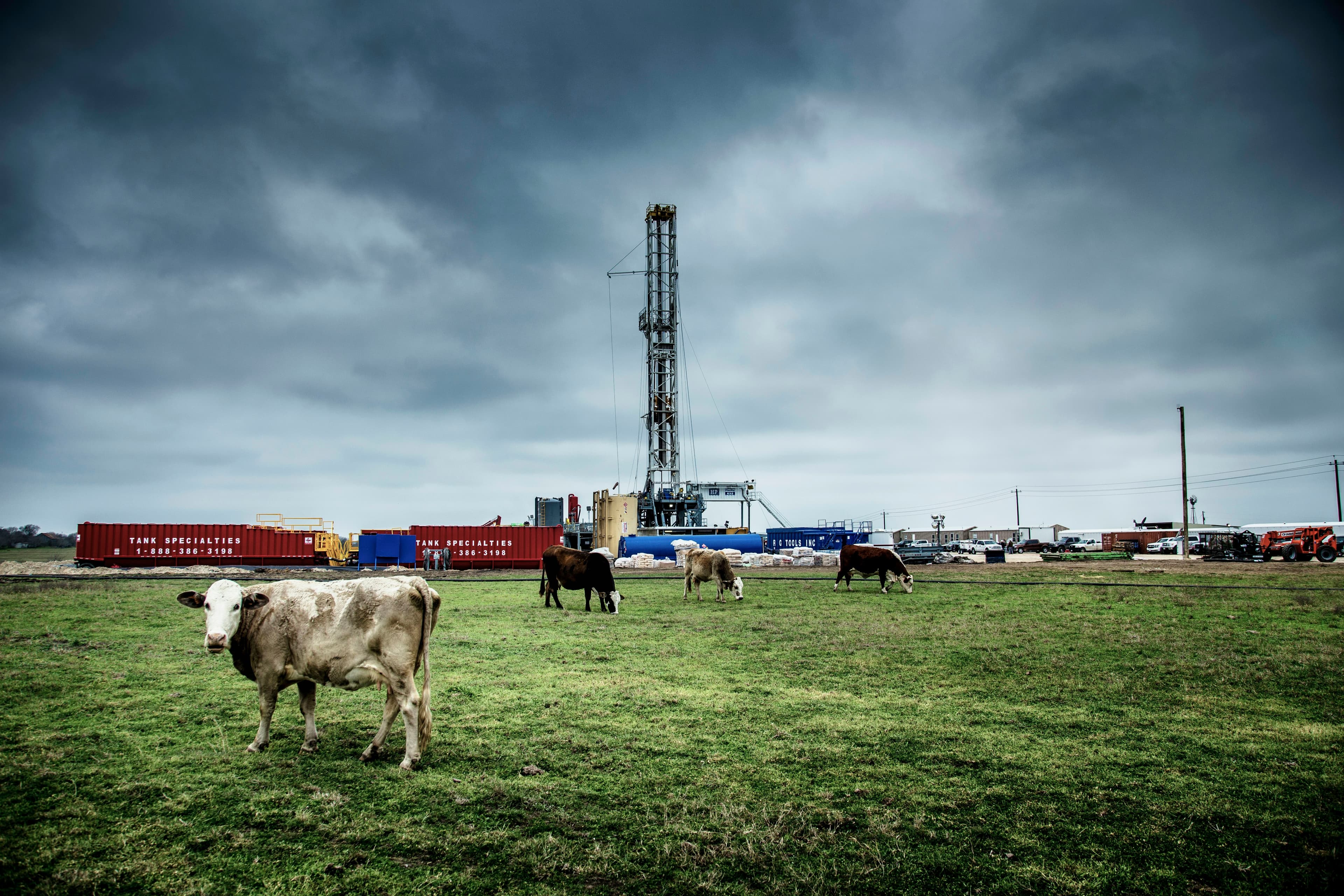Drilling rig and frac tanks beyond a cattle pasture under storm clouds