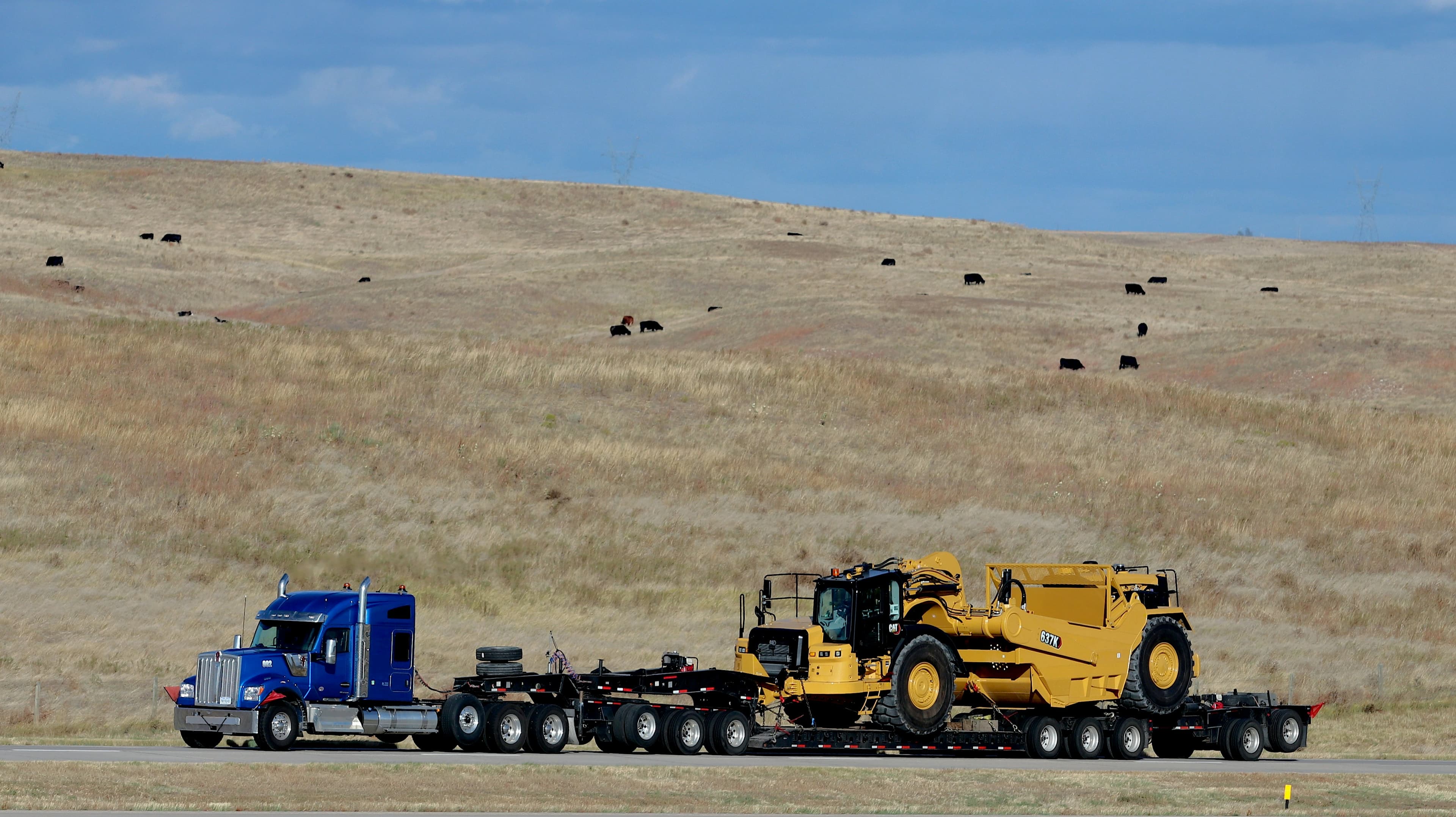 Lowboy hauling a scraper across grassland with cattle on the hill