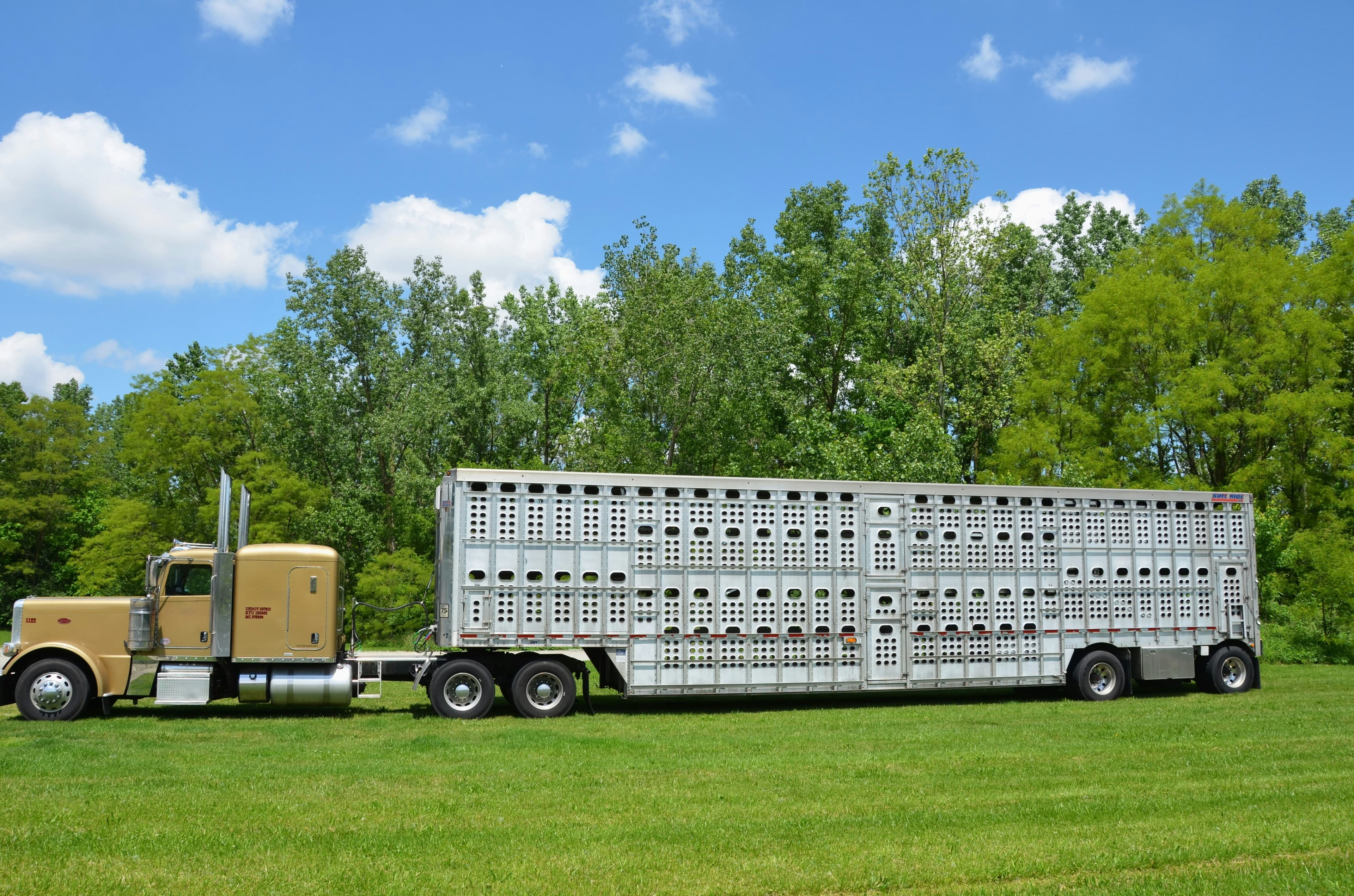 Long-nose tractor with an aluminum livestock trailer in a pasture